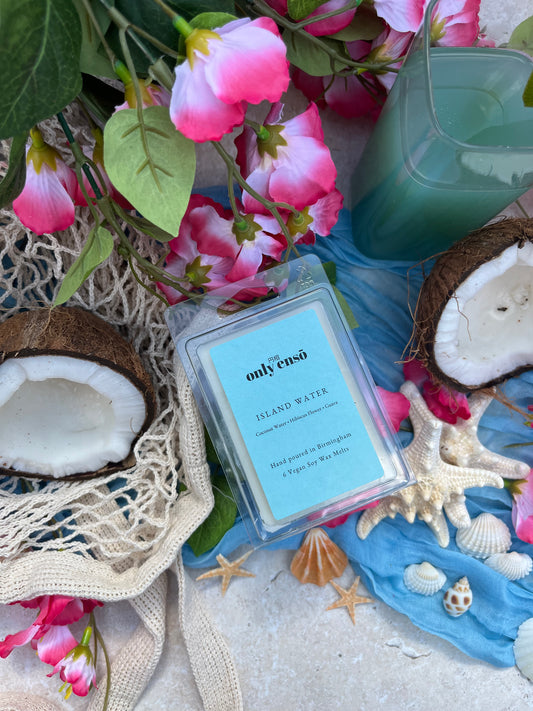 Island Water Soy Wax Melts | Coconut Water, Hibiscus Flower and Guava